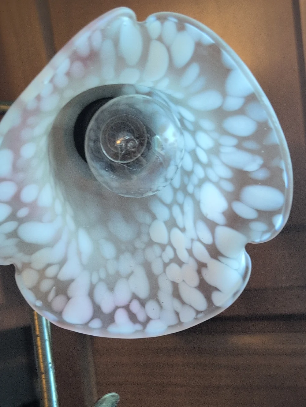 Andrea by Sadek Pond Lily Tulip Gooseneck Table Lamp